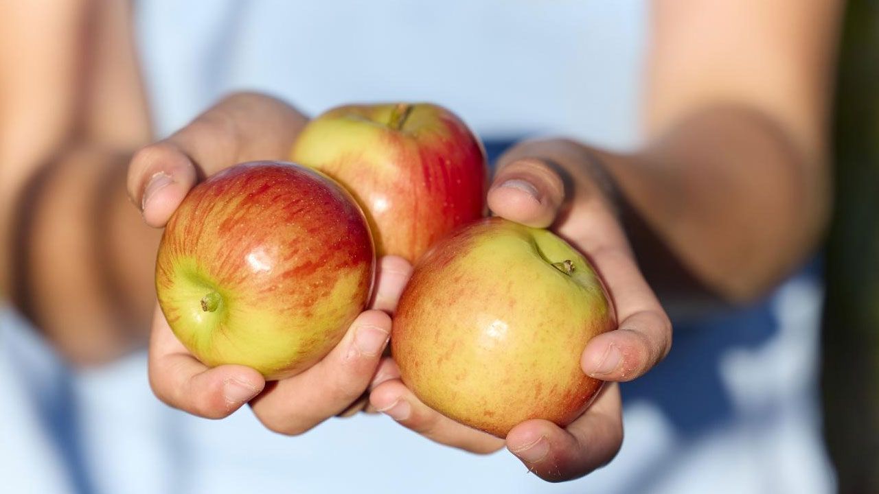 Meyveyi sade mi yiyelim yoksa karışık mı?