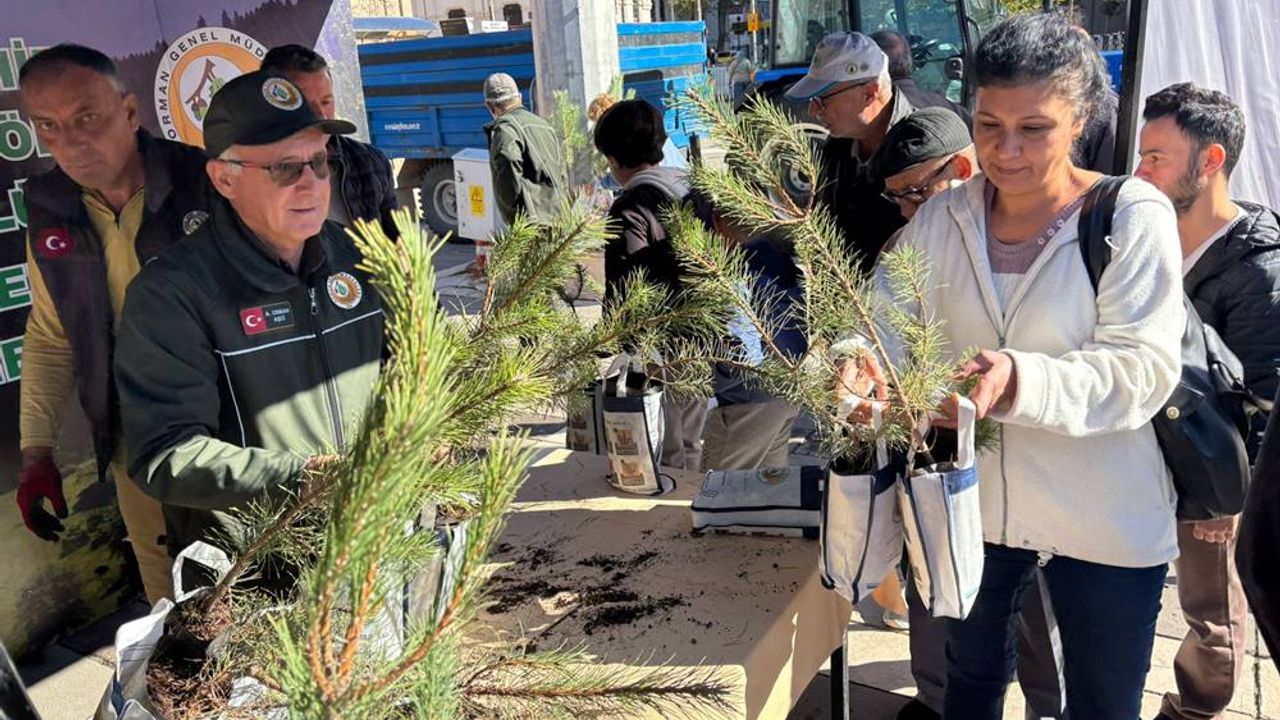 Eskişehir'de ücretsiz olarak dağıtılan fidanlara yoğun ilgi