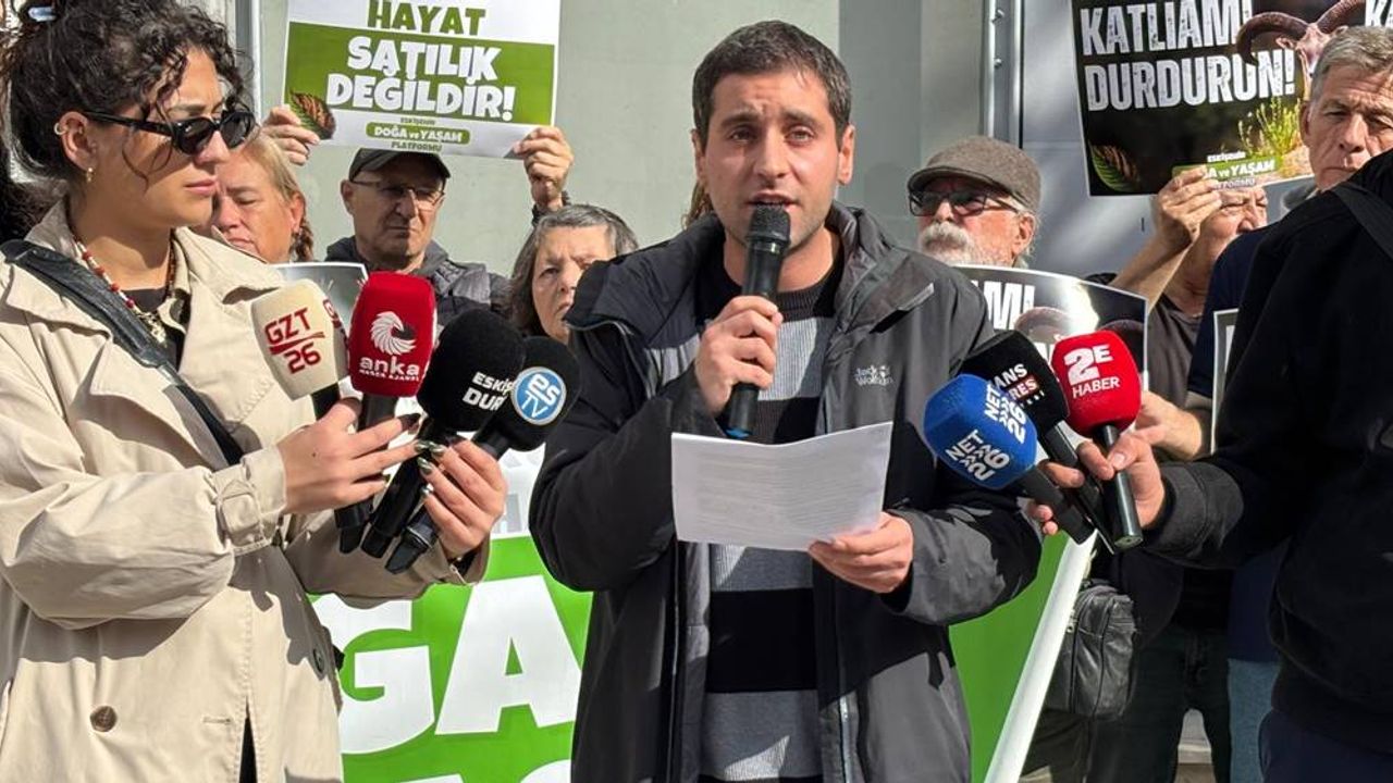 Mahkeme kararına rağmen kızıl geyikler vuruldu; Doğa ve Yaşam Platformu sert tepki