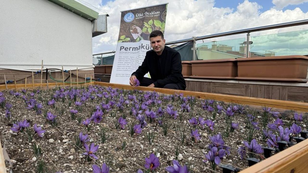 Ülkü Ocakları Genel Merkezi’nin çatısında örnek çalışma; “Yeşil vatanımız en büyük hazinemiz"