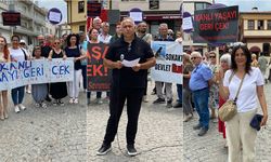 Odunpazarı Kent Konseyi: "Sokak hayvanlarının uyutulması kabul edilemez bir durumdur!"