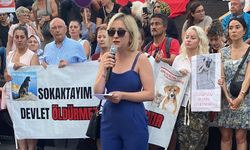 Ummuhan Deniz: "Biz veteriner hekimler öldürmek için değil, yaşatmak için varız!"