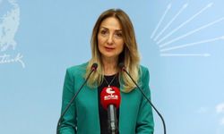 Aylin Nazlıaka: "Huzurevlerine yapılan zammı geri çekin!"