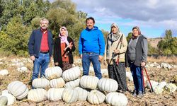 Bal Kabağı Panayırı için geri sayım başladı!