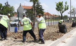 Eskişehir Büyükşehir Belediyesi park ve bahçeler için eleman alımı yapacak