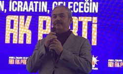 Ali Demirel: “Hastanelerde rehin alınan bebekler, cenazeler artık geride kaldı”