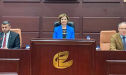 Ayşe Ünlüce: "Bu konuda hep birlikte mücadele edeceğiz"