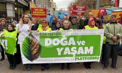 Eskişehir Doğa ve Yaşam Platformu: "Havamıza, suyumuza, toprağımıza dokunmayın!"