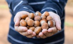 Eskişehir’de fındık fıstık tüketmek de lüks oldu