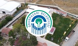 Eskişehir'de hayvanseverleri endişelendiren gelişmeler; Belediye açıklama yaptı