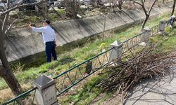 Eskişehir'de tuhaf olay; Kurumlar anlaşamayınca iş vatandaşa düştü