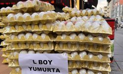 Eskişehir’de yumurta fiyatları ciddi oranda ucuzladı; İşte güncel fiyat