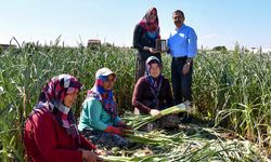 Ahmet Ataç’tan tarım ile alakalı önemli açıklamalar