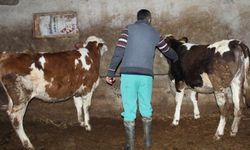 Eskişehir’de başlatılan seferberlik sonuç verdi