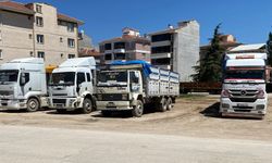 İstanbul'a en çok sebze ve meyve gönderen şehirler açıklandı; Eskişehir'den müthiş başarı