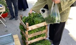 Manisa’dan getirip Eskişehir’de sattılar; Yaprak sarmanın maliyeti bile çok pahalı