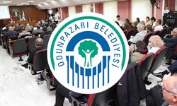 Odunpazarı Belediyesi'ne mevcut kaynaklar verimli ve etkin şekilde kullanılamamaktadır eleştirisi