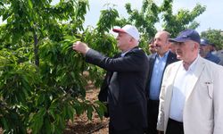 Türkiye Ziraat Odaları Birliği Genel Başkanı Şemsi Bayraktar Eskişehir’de açıklama yaptı