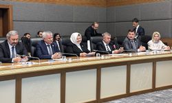 AK Parti Eskişehir Milletvekili Ayşen Gürcan’a önemli görev