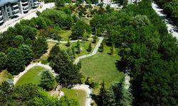 Eskişehir'i yemyeşil bir kent yapmak için harekete geçtiler