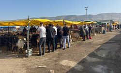 Eskişehir'de bu kurban bayramında bir ilk gerçekleşti