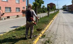 Eskişehir'in o ilçesi kurban bayramına hazır; Bütün hazırlıklar tamamlandı