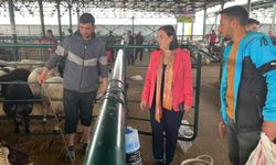 Jale Nur Süllü Hayvan Pazarı’nda kurbanlık fiyatlarını değerlendirdi