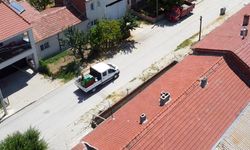 Tepebaşı Belediyesi duyurdu; İlaçlama çalışması istiyorsanız bu numarayı arayın