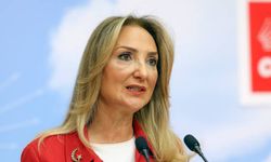 Aylin Nazlıaka: "Kadınlar ya çocuk ya kariyer ikilemine zorlanıyor"