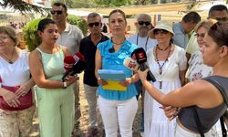 Aysun Yılancı'dan Çarşamba Pazarı’nın tekstil bölümünü ile ilgili flaş çağrı