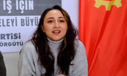 Sakarya Nehri’nde hayatını kaybeden iki çocuk işçi için Ceren Kökoğlu'ndan açıklama