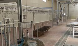 Eskişehir Beylikova’da yapılan mezbaha ile ilgili önemli açıklama