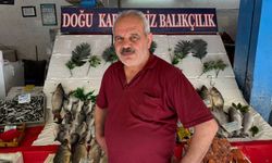 Eskişehir halkı yaz aylarında en çok hangi balık türünü tercih ediyor; Balıkçı esnafı Cavit Aladağ yanıtladı