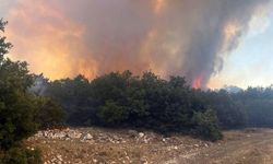 Elektrik telleriyle gelen felaket; Eskişehir'de önemli açıklama