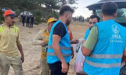 Ülkü Ocakları Eğitim ve Kültür Vakfı'ndan orman yangınları ile mücadeleye tam destek