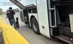Eskişehir'de durdurulan otobüsten yasaklı madde çıktı