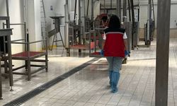 Eskişehir'de 6 ürün için imha kararı verilirken, 1 ürün toplatıldı