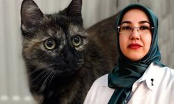 Meral Öztürk: "El kadar hayvana bu kadar nefretle nasıl yaklaşır"