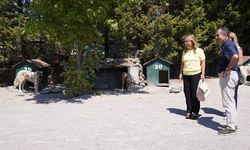 Tepebaşı Belediyesi Doğal Yaşam Merkezi’nde kapasite artırıldı