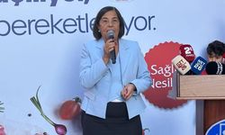 CHP Eskişehir Milletvekili Jale Nur Süllü sağlık çalışanlarının yaşadığı sorunları gündeme getirdi