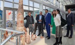 Bulgaristan’dan gelerek Tepebaşı Belediyesi'nin çalışmalarını gözlemlediler