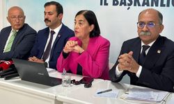 Jale Nur Süllü: "ABD bu nadir toprak elementlerini sizce 2 dolara hangi ülkeden alacak?"