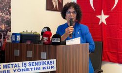 DEV DİSK Emekli Sen Eskişehir Şube Başkanı Hatice Kılıç oldu