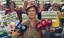 Eskişehir Doğa ve Yaşam Platformu: "Doğanın vahşi bir şekilde katledilmesinin her zaman karşısında olacağız"