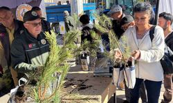 Eskişehir'de ücretsiz olarak dağıtılan fidanlara yoğun ilgi