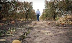 Eskişehir’de yaşayan çiftçiler hesaplarınızı kontrol edin; Ödemeler yapıldı