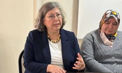 Nazan Aksaray: "Alpagut-Atalan maden projesinin geniş bir bölgede ciddi sağlık riskleri yaratabilir"