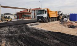 Eskişehir Hayvan Bakımevi ve Doğal Yaşam Alanı projesinde sona geliniyor