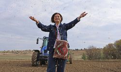 Eskişehir Büyükşehir Belediyesi harekete geçti; Meşhur ekmeğin buğdayı artık Eskişehir'de üretilecek