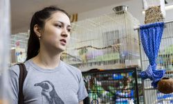 Petshoplarda yaban hayvanı satışı konusunda önemli uyarı